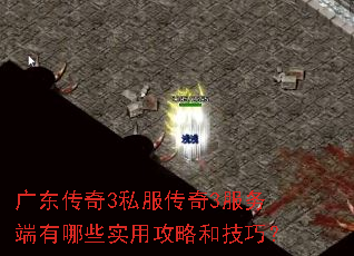 广东传奇3私服传奇3服务端有哪些实用攻略和技巧? 广东传奇3私服传奇3服务端有哪些实用攻略和技巧?