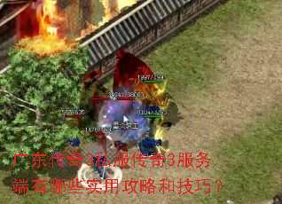 广东传奇3私服传奇3服务端有哪些实用攻略和技巧? 广东传奇3私服传奇3服务端有哪些实用攻略和技巧?