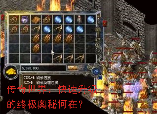 �������磺�����������ռ����غ��ڣ�