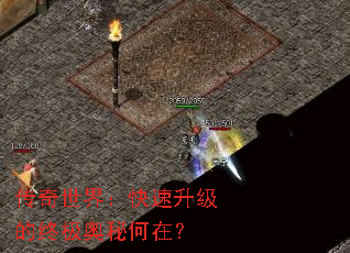 �������磺�����������ռ����غ��ڣ�