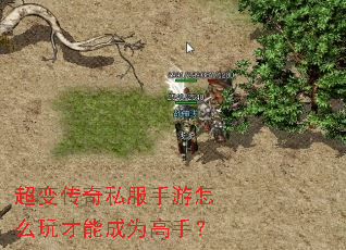 超变传奇私服手游怎么玩才能成为高手? 超变传奇私服手游怎么玩才能成为高手?
