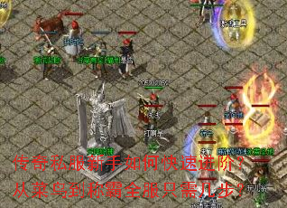 传奇私服新手如何快速进阶?从菜鸟到称霸全服只需几步? 传奇私服新手如何快速进阶?从菜鸟到称霸全服只需几步?