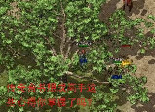传奇合书想成高手这些心得你掌握了吗? 传奇合书想成高手这些心得你掌握了吗?