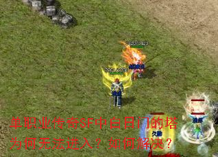 单职业传奇SF中白日门的塔为何无法进入?如何解决? 单职业传奇SF中白日门的塔为何无法进入?如何解决?