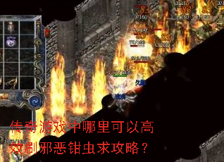 传奇游戏中哪里可以高效刷邪恶钳虫求攻略? 传奇游戏中哪里可以高效刷邪恶钳虫求攻略?