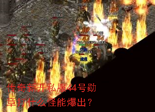 传奇新开私服44号勋章打什么怪能爆出? 传奇新开私服44号勋章打什么怪能爆出?