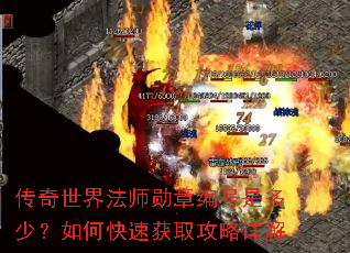 �������編ʦѫ�±���Ƕ��٣���ο��ٻ�ȡ�������