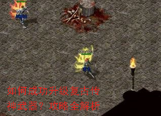 如何成功升级复古传神武器?攻略全解析 如何成功升级复古传神武器?攻略全解析