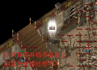 如何获得并培养魂宠以称霸传奇游戏世界? 如何获得并培养魂宠以称霸传奇游戏世界?