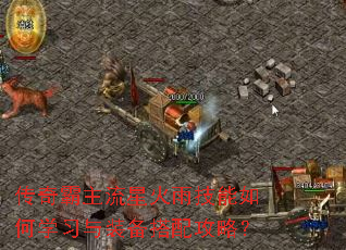 传奇霸主流星火雨技能如何学习与装备搭配攻略? 传奇霸主流星火雨技能如何学习与装备搭配攻略?