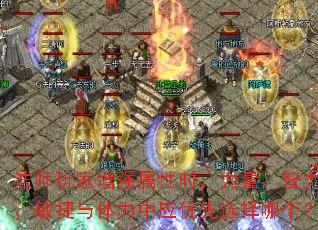 法师玩家增强属性时,力量、智力、敏捷与体力中应优先选择哪个? 法师玩家增强属性时,力量、智力、敏捷与体力中应优先选择哪个?