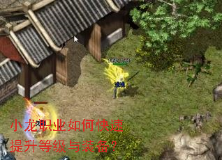 小龙职业如何快速提升等级与装备? 小龙职业如何快速提升等级与装备?