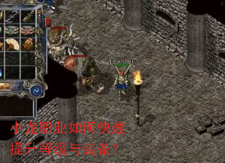 小龙职业如何快速提升等级与装备? 小龙职业如何快速提升等级与装备?