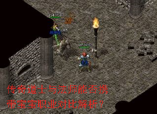 传奇道士与法师能否携带宝宝职业对比解析? 传奇道士与法师能否携带宝宝职业对比解析?