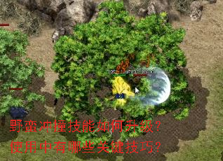 野蛮冲撞技能如何升级?使用中有哪些关键技巧? 野蛮冲撞技能如何升级?使用中有哪些关键技巧?