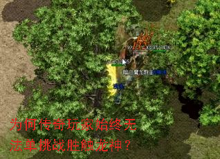 为何传奇玩家始终无法单挑战胜触龙神? 为何传奇玩家始终无法单挑战胜触龙神?