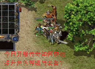 今日开服传奇如何快速提升角色等级与装备? 今日开服传奇如何快速提升角色等级与装备?