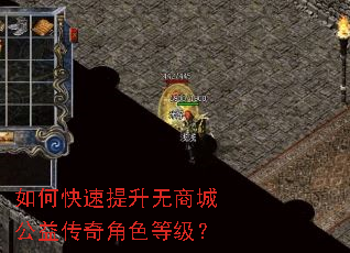 如何快速提升无商城公益传奇角色等级? 如何快速提升无商城公益传奇角色等级?