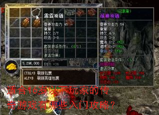 适合16岁以下玩家的传奇游戏有哪些入门攻略? 适合16岁以下玩家的传奇游戏有哪些入门攻略?