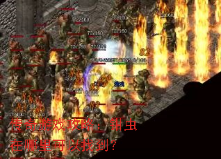 传奇游戏攻略:钳虫在哪里可以找到? 传奇游戏攻略:钳虫在哪里可以找到?