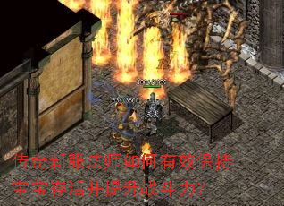 传奇新服法师如何有效保持宝宝存活并提升战斗力? 传奇新服法师如何有效保持宝宝存活并提升战斗力?