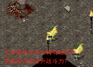 传奇新服法师如何有效保持宝宝存活并提升战斗力? 传奇新服法师如何有效保持宝宝存活并提升战斗力?