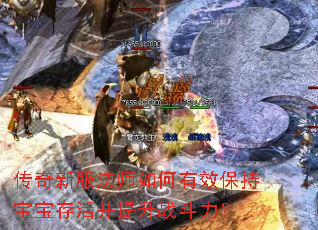 传奇新服法师如何有效保持宝宝存活并提升战斗力? 传奇新服法师如何有效保持宝宝存活并提升战斗力?