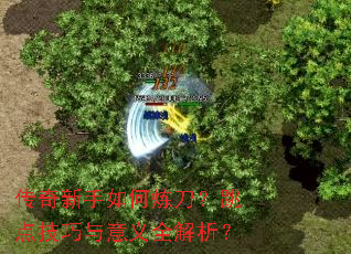 传奇新手如何炼刀?跳点技巧与意义全解析? 传奇新手如何炼刀?跳点技巧与意义全解析?