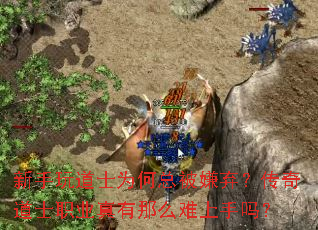 新手玩道士为何总被嫌弃?传奇道士职业真有那么难上手吗? 新手玩道士为何总被嫌弃?传奇道士职业真有那么难上手吗?