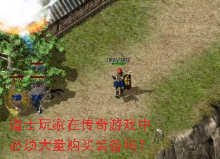 道士玩家在传奇游戏中必须大量购买装备吗? 道士玩家在传奇游戏中必须大量购买装备吗?
