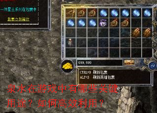 泉水在游戏中有哪些关键用途?如何高效利用? 泉水在游戏中有哪些关键用途?如何高效利用?