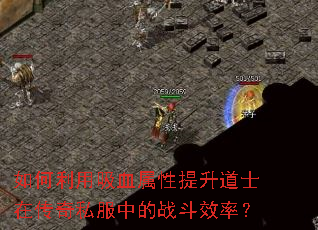 如何利用吸血属性提升道士在传奇私服中的战斗效率? 如何利用吸血属性提升道士在传奇私服中的战斗效率?