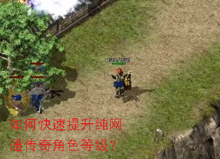 如何快速提升纯网通传奇角色等级? 如何快速提升纯网通传奇角色等级?