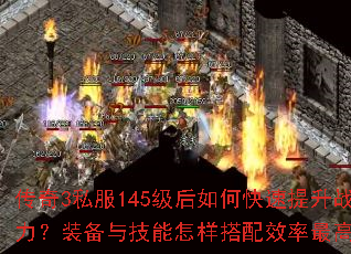 ����3˽��145������ο�������ս����װ���뼼����������Ч����ߣ�