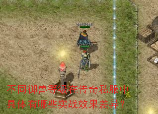 ��ͬ���޵ȼ��ڴ���˽���о�������ЩʵսЧ�����죿