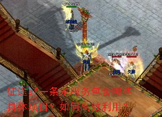 征途sf一条龙服务包含哪些具体项目?如何高效利用? 征途sf一条龙服务包含哪些具体项目?如何高效利用?