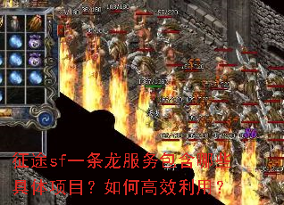征途sf一条龙服务包含哪些具体项目?如何高效利用? 征途sf一条龙服务包含哪些具体项目?如何高效利用?