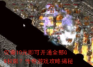 ����10Ԫ���ɿ�ͨȫ��GMȨ�ޣ�������Ϸ���Խ���
