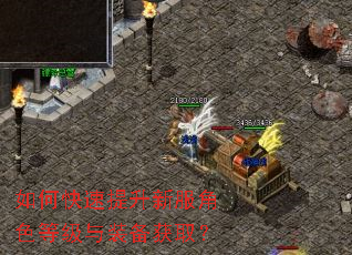 如何快速提升新服角色等级与装备获取? 如何快速提升新服角色等级与装备获取?