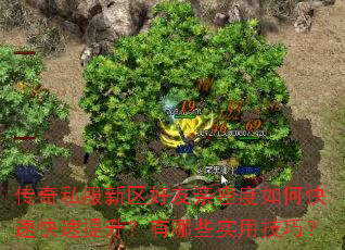 传奇私服新区好友亲密度如何快速快速提升?有哪些实用技巧? 传奇私服新区好友亲密度如何快速快速提升?有哪些实用技巧?