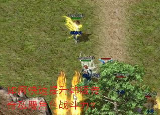 如何快速提升韩版传奇私服角色战斗力? 如何快速提升韩版传奇私服角色战斗力?