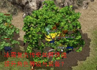 冰雪复古传奇如何快速提升角色等级与装备? 冰雪复古传奇如何快速提升角色等级与装备?