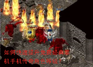 如何快速提升免费经典单机手机传奇角色等级? 如何快速提升免费经典单机手机传奇角色等级?