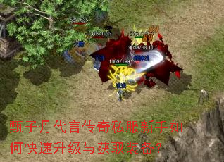 甄子丹代言传奇私服新手如何快速升级与获取装备? 甄子丹代言传奇私服新手如何快速升级与获取装备?
