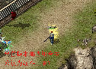 当前版本哪些组合被公认为战斗王者? 当前版本哪些组合被公认为战斗王者?