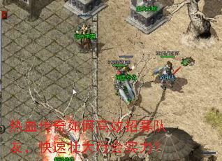 热血传奇如何高效招募队友,快速壮大行会实力? 热血传奇如何高效招募队友,快速壮大行会实力?