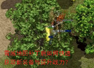 雪域地图补丁后如何快速获取新装备与提升战力? 雪域地图补丁后如何快速获取新装备与提升战力?