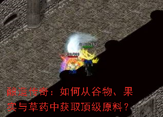 酿造传奇:如何从谷物、果实与草药中获取顶级原料? 酿造传奇:如何从谷物、果实与草药中获取顶级原料?
