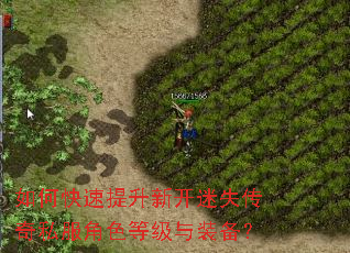 如何快速提升新开迷失传奇私服角色等级与装备? 如何快速提升新开迷失传奇私服角色等级与装备?