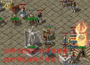 如何快速提升绝世武林热血传奇私服角色等级? 如何快速提升绝世武林热血传奇私服角色等级?